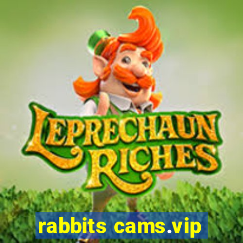 rabbits cams.vip